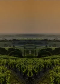 ערב טעימות בס-ארמניאק נדיר | תל אביב